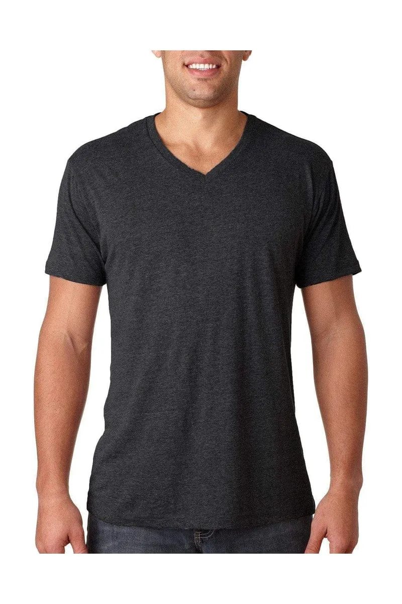 Next Level 6040: Men's Triblend V Neck