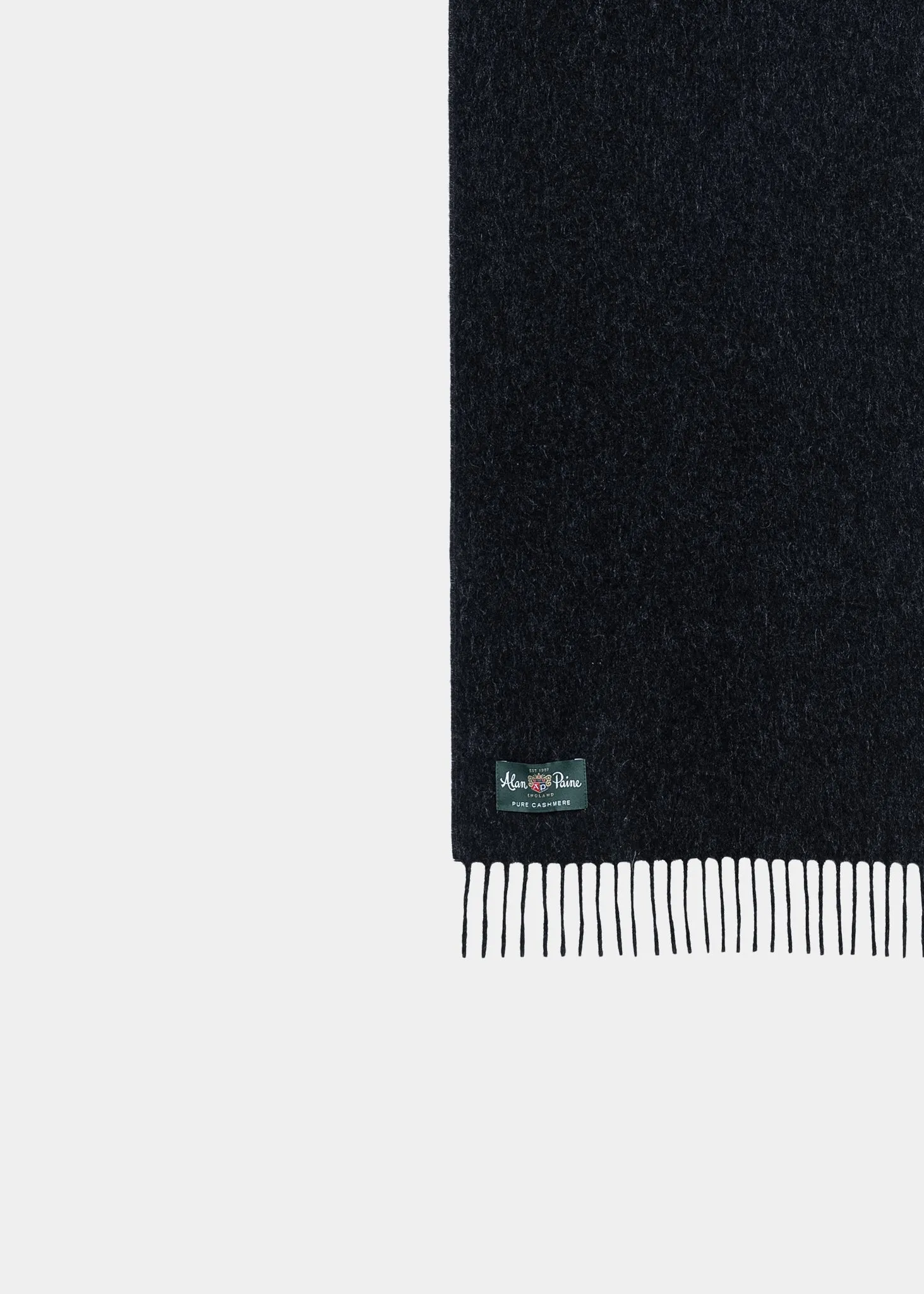 Risbury Men's Cashmere Plain Scarf In Charcoal